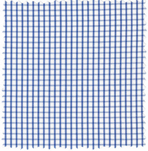 Classic Royal Blue on White Windowpane Check