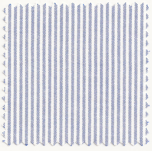 Blue & White University Stripe Two-Ply 100% Pima Cotton Oxford