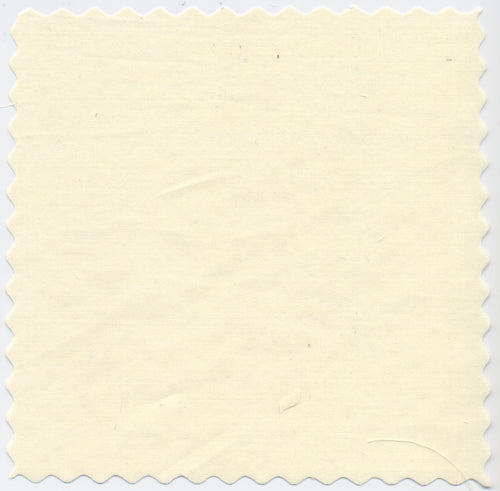 Devon Cream 140's SuperFine™ Broadcloth